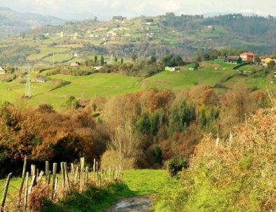 Vista campo Oviedo